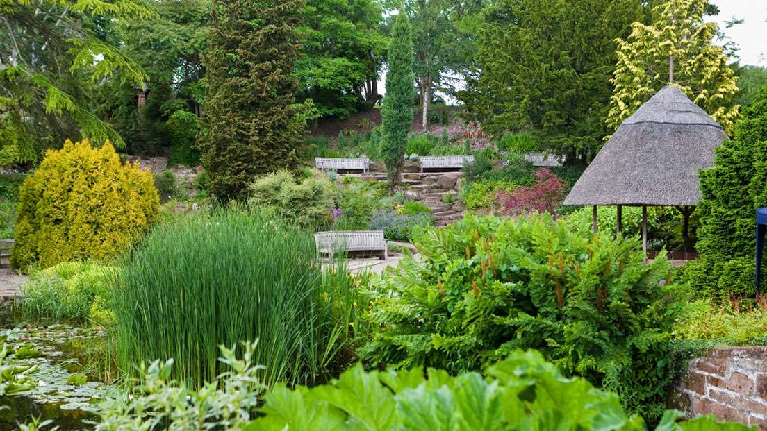 Ness Botanic Gardens